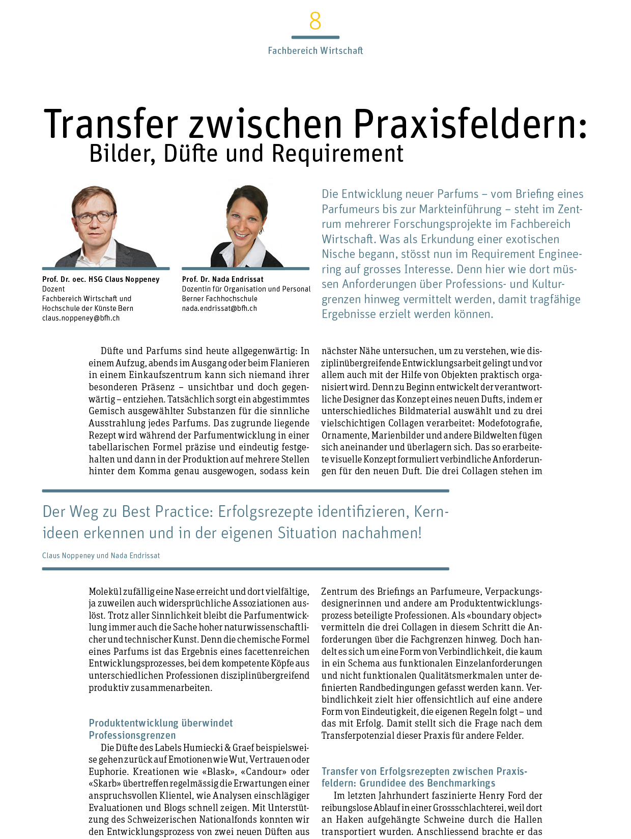 Noppeney-Endrissat_Transfer_zwischen_Praxisfeldern-1